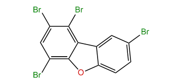 1,2,4,8-Tetrabromodibenzofuran