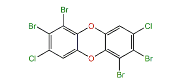 1,2,6,7-Tetrabromo-3,8-dichlorodibenzo-p-dioxin