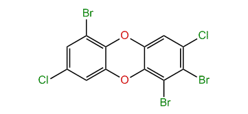 1,2,6-Tribromo-3,8-dichlorodibenzo-p-dioxin
