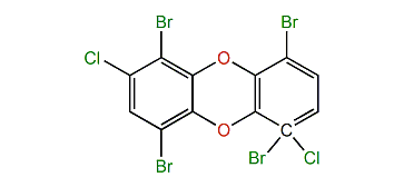 1,4,6,9-Tetrabromo-2,6-dichlorodibenzo-p-dioxin