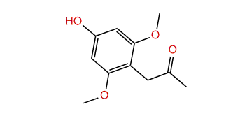 1-(4-Hydroxy-2,6-dimethoxyphenyl)-propan-2-one