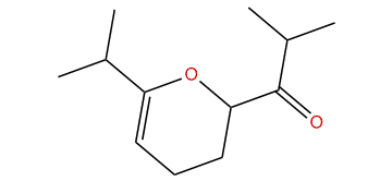 1-(6-Isopropyl-3,4-dihydro-2H-pyran-2-yl)-isobutanone