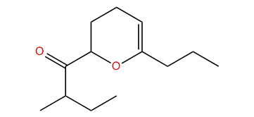 1-(6-Propyl-3,4-dihydro-2H-pyran-2-yl)-2-methylbutanone