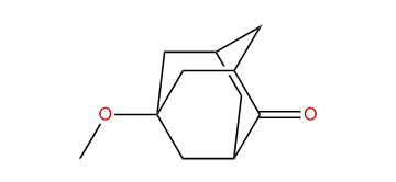 1-Methoxy-adamantan-4-one
