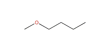 1-Methoxybutane