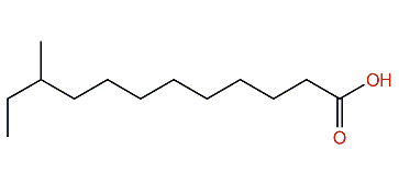 10-Methyldodecanoic acid