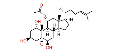 11a-Acetoxy-cholest-24-en-1a,3b,5a,6b-tetraol
