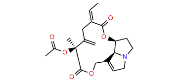 12-Acetylseneciphylline