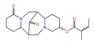 13-Angeloyloxy-17-oxolupanine