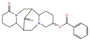 13-Benzoyloxy-17-oxolupanine