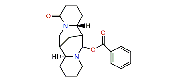13-Benzoyloxylupanine