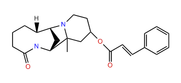 13-cis-Cinnamoyl-oxylupanine