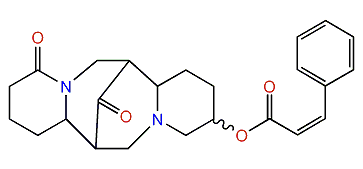 13-cis-Cinnamoyloxy-17-oxolupanine