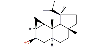 13-Epi-neoverrucosan-5b-ol