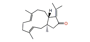 13-Keto-1(S),11(R)-dolabell-(E)3,(E)7,(E)12(18)-triene