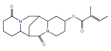 13-Tigloyloxy-17-oxolupanine