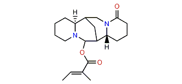13-Tigloyloxylupanine