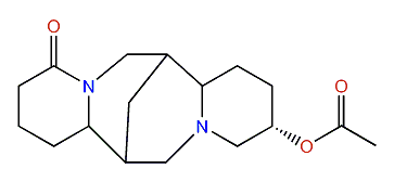 13alpha-Acetyloxylupanine