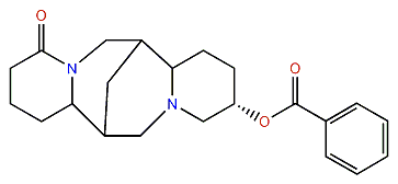 13alpha-Benzoyloxylupanine