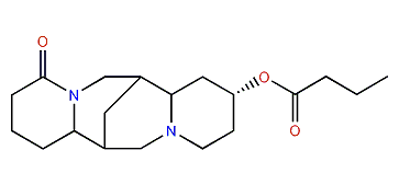 13alpha-Butyryloxylupanine
