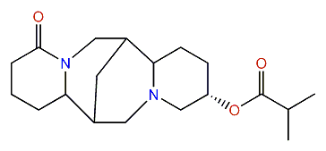 13alpha-Isobutyryloxylupanine