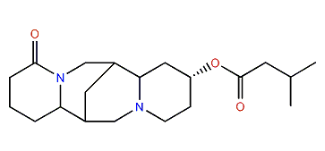 13alpha-Isovaleroyloxylupanine