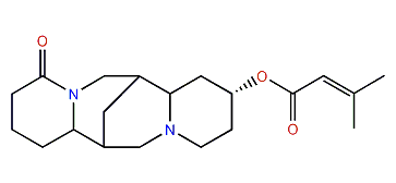13alpha-Tigloyloxylupanine