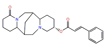 13alpha-trans-Cinnamoyloxylupanine