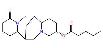 13alpha-Valeroyloxylupanine