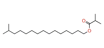 14-Methylpentadecyl isobutyrate