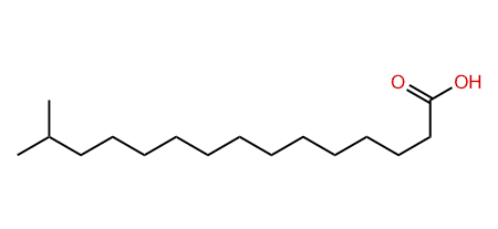 14-Methylpentadecanoic acid
