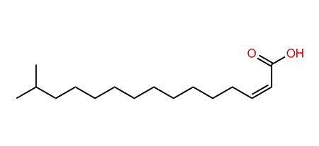 14-Methylpentadecenoic acid