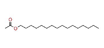 Hexadecyl acetate