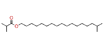 16-Methylheptadecyl isobutyrate