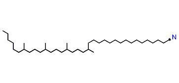 16,20,24,28-Tetramethyltetratriacontyl cyanide