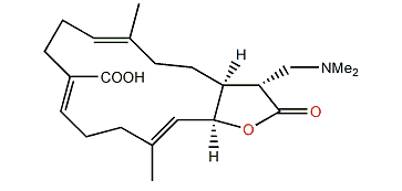 17-Dimethylaminolobohedleolide