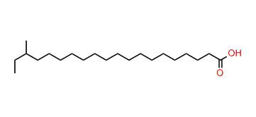 18-Methyleicosanoic acid