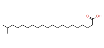 19-Methyleicosanoic acid