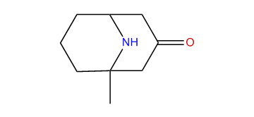 1-Methyl-9-azabicyclo[3.3.1]nonan-3-one