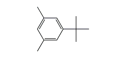 1,3-Dimethyl-5-tert-butylbenzene