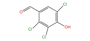 2,3,5-Trichloro-4-hydroxybenzaldehyde