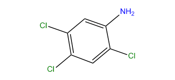 2,4,5-Trichlorobenzenamine