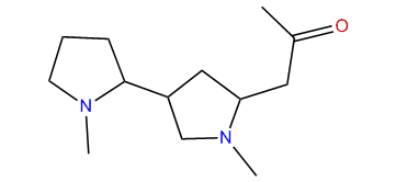 2,4-N-Methylpyrrolidinylhygrine