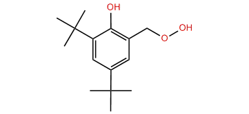 2,4-tert-Butyl-6-hydroperoxymethyl-phenol