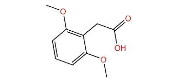 2,6-Dimethoxyphenylacetate