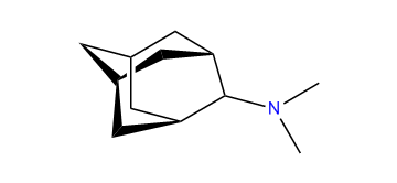 2-N,N-Dimethylaminoadamantane