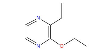 2-Ethoxy-3-ethylpyrazine