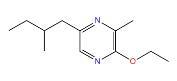 2-Ethoxy-3-methyl-5-(2-methylbutyl)-pyrazine