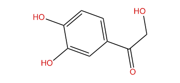 1-(3,4-Dihydroxyphenyl)-2-hydroxyethanone