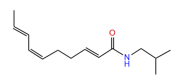 (E,Z,E)-N-Isobutyl-2,6,8-decatrienamide